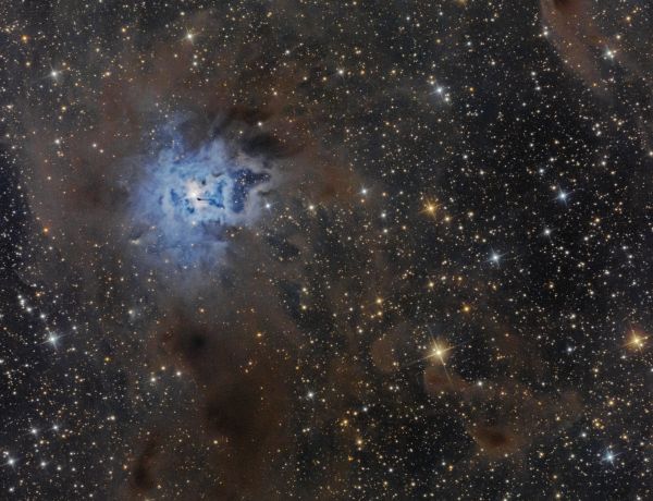 Der Irisnebel NGC 7023