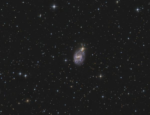 NGC 7741 - kleine Balkenspirale im Pegasus