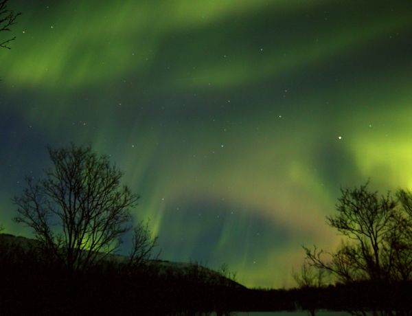 Polarlicht - Farbspiele im nördlichen Lappland